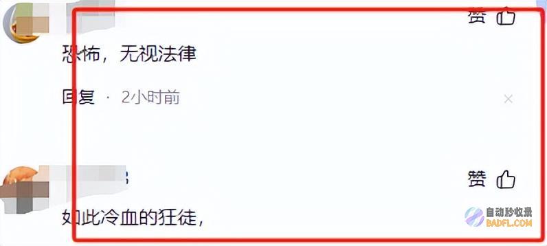 孩子没3岁惨不忍睹痛苦哀嚎突发广东母子被撞后