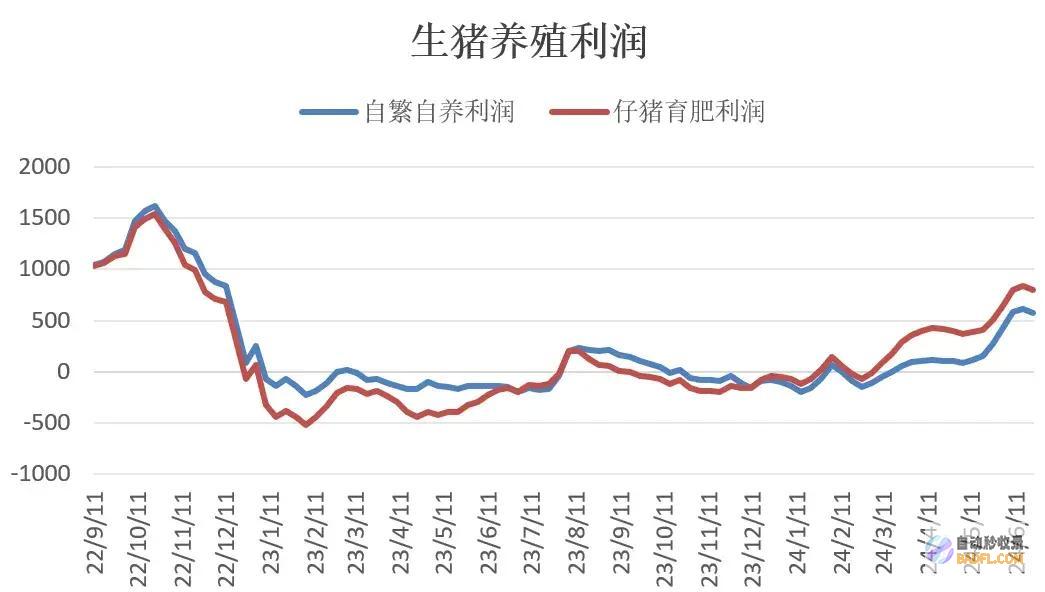生猪期现同步回落当心前期空单止盈猪场同期分娩