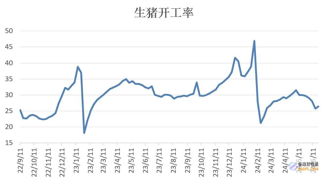 生猪期现同步回落当心前期空单止盈猪场同期分娩