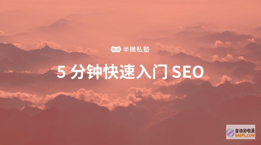 seo推行什么意思 (seo的推广作用)