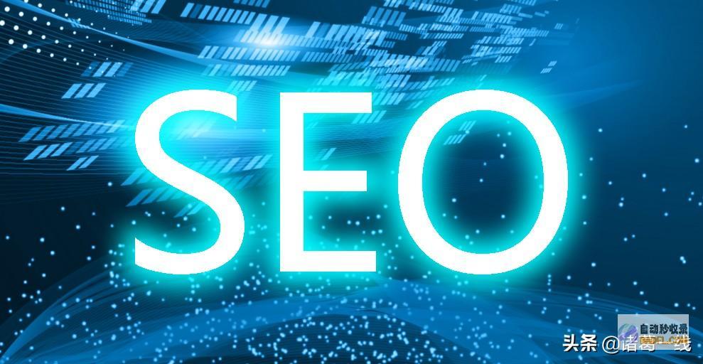 SEO分为哪几类
