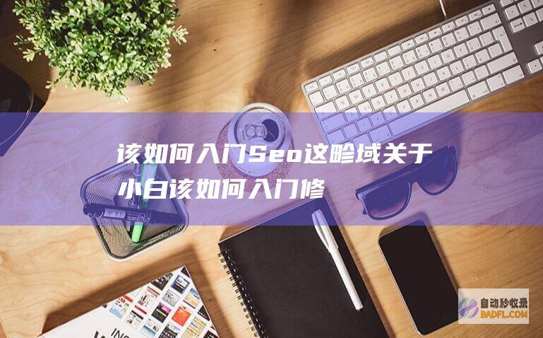 该如何入门Seo这畛域 关于小白 (该如何入门修炼道法运用符文)