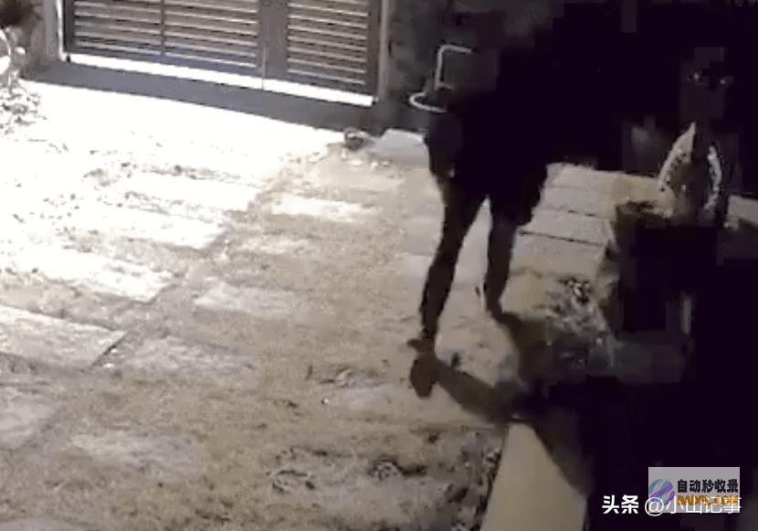 韩网友称具荷拉保险柜偷盗犯是当红男歌手ZICO韩