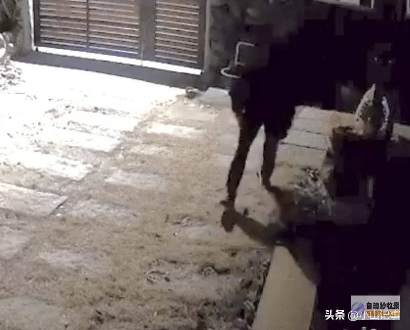 韩网友称具荷拉保险柜偷盗犯是当红男歌手ZICO韩