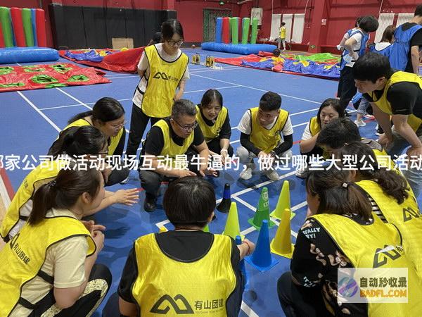 哪家公司做搜查引擎提升比拟好的 (哪家公司做搜索引擎好)