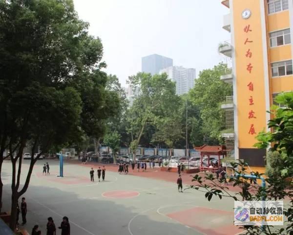 解体！高中三年花68万 评论区让人泪目了 高考察分后解体大哭 (高中解散)