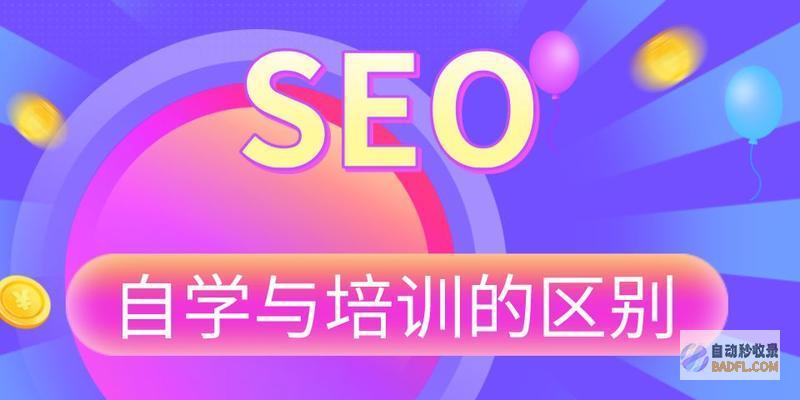 学习SEO提升环节当选用什么书籍最好 (seo技术怎么学)