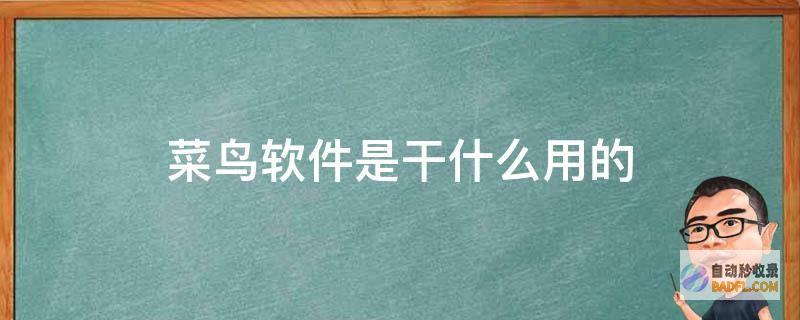 seo菜鸟要求把握哪些基本seo技巧 (菜鸟教程培训seo)