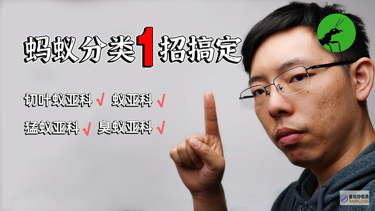 新手如何更好地学习SEO (新手如何更好的佩戴美瞳)