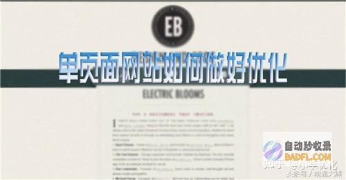 怎样写SEO优化推行方案 (怎样写森林的美景)