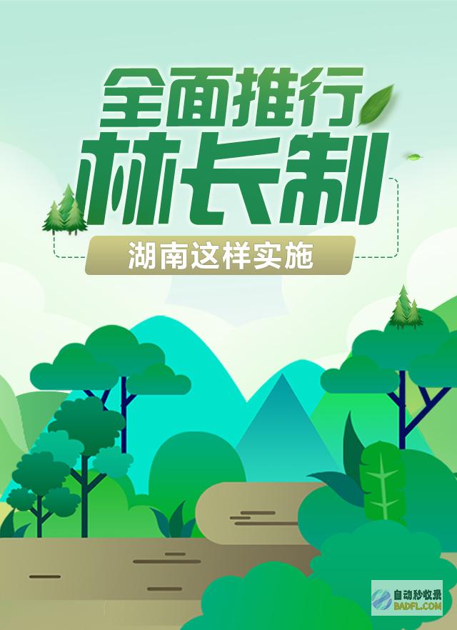 湖南网络推行浅析外链怎样发才会更快的收录 (湖南网络推广)