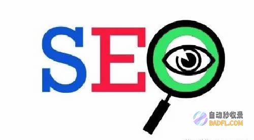 SEO攻略 搜查引擎优化战略与实战案例详解内容简介 (seo全攻略)