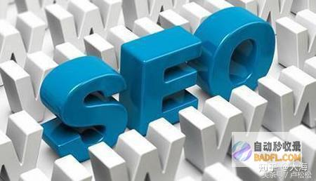 seo的基本入门常识有多少 (seo的基本步骤顺序正确的是)