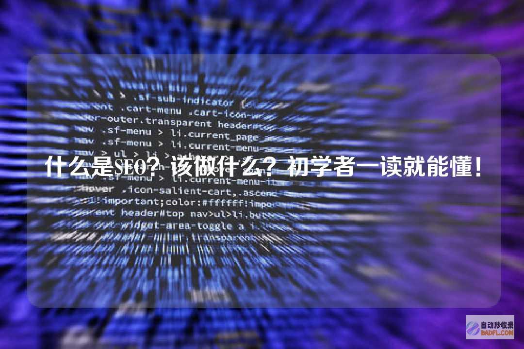 什么是SEO 什么是网络推行 要怎样做才干做好 (什么是SEO优化,有什么优点有什么缺点)