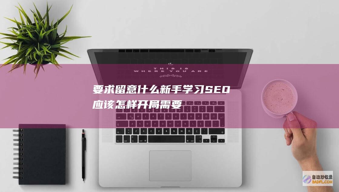 要求留意什么 新手学习SEO应该怎样开局 (需要留意和需要关注)