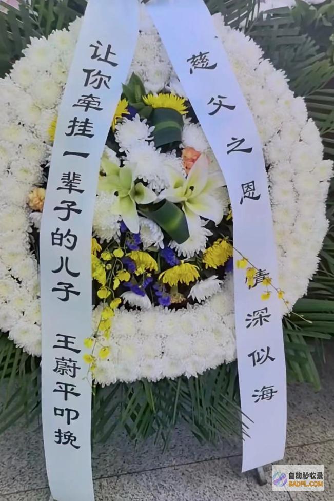 王铁成遗体告别仪式儿子坐一旁表情凝重妻子哭肿