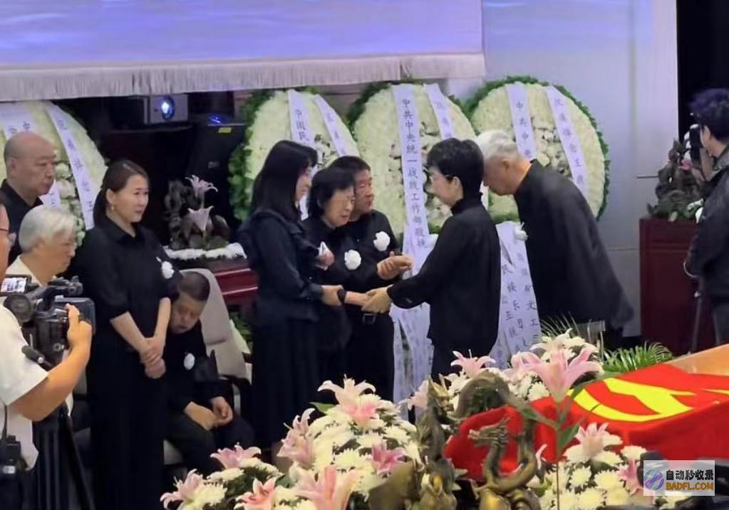 妻子哭肿双眼被人扶持王铁成遗体告别仪式儿子坐