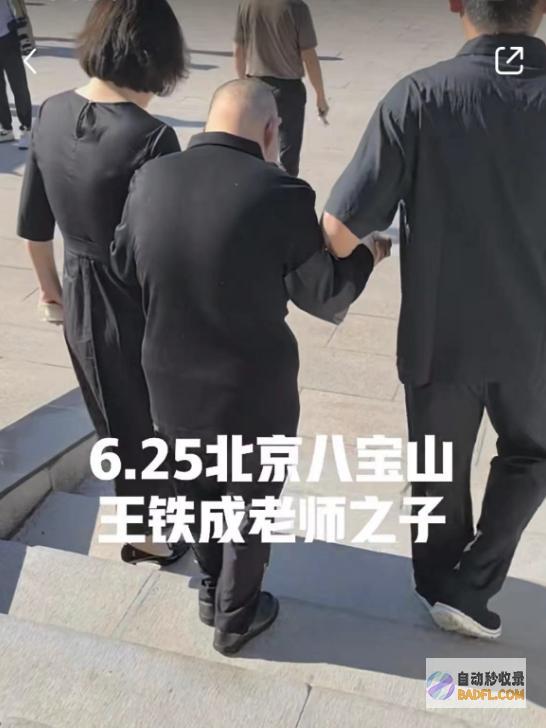 妻子哭肿双眼被人扶持王铁成遗体告别仪式儿子坐