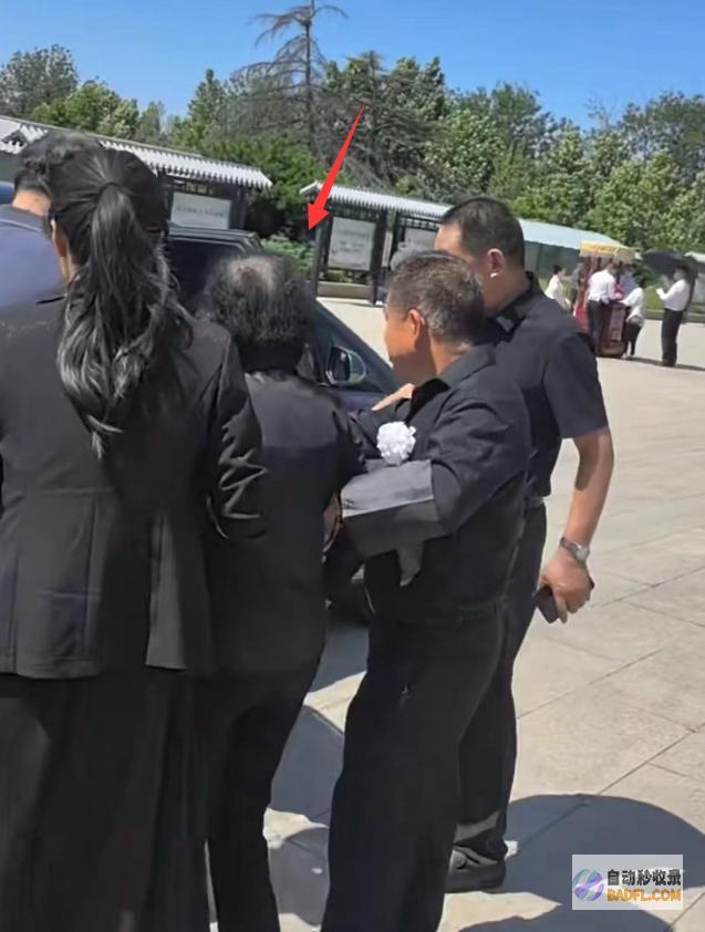 妻子哭肿双眼被人扶持王铁成遗体告别仪式儿子坐