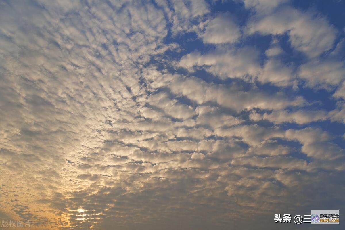暴雨散布如下强降雨高温核心已定当天夜间至6月2