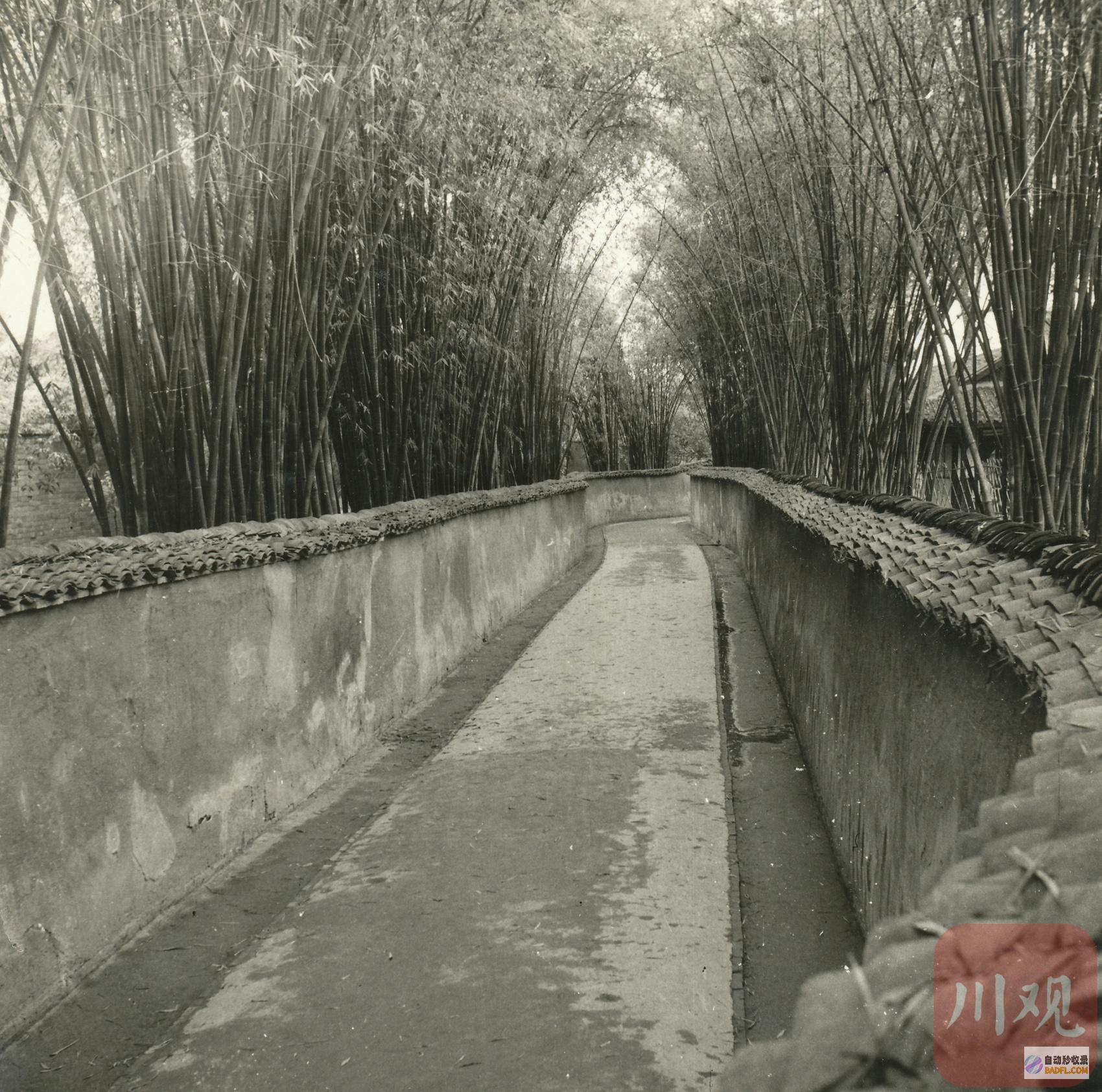 老照片带你穿梭光阴看过去成都武侯祠建馆40周年
