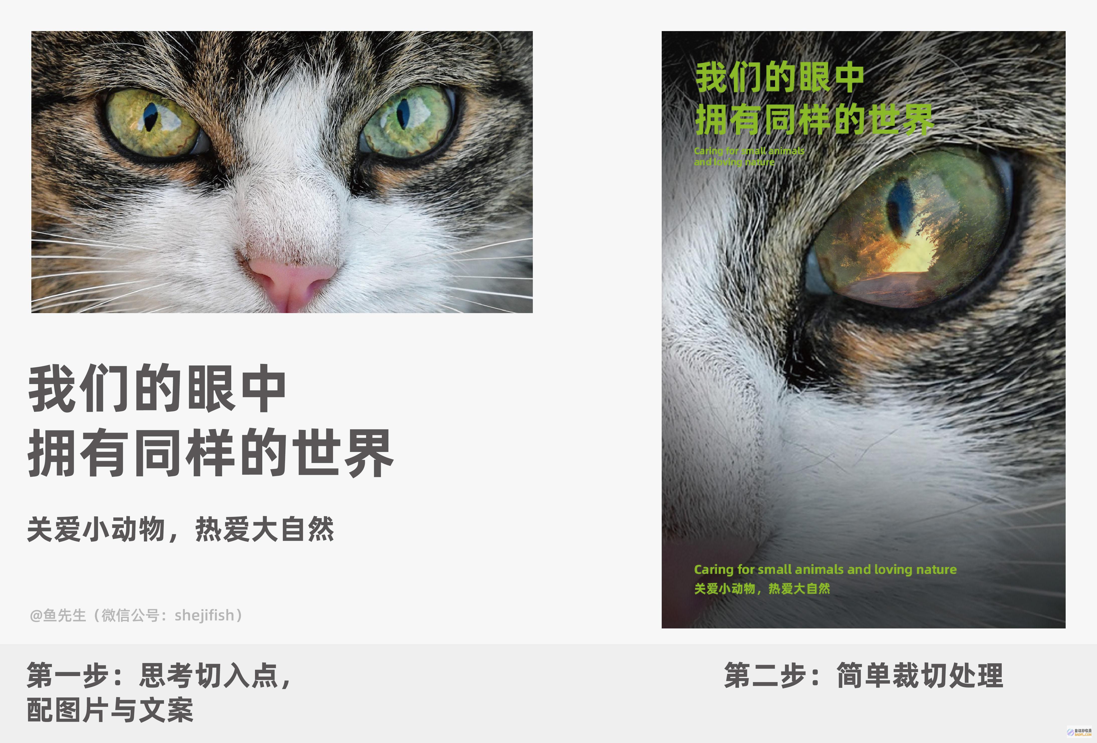 给个具体的 各个大搜查引擎网站注销入口 Google等 像百度 (给个具体的各种表格)