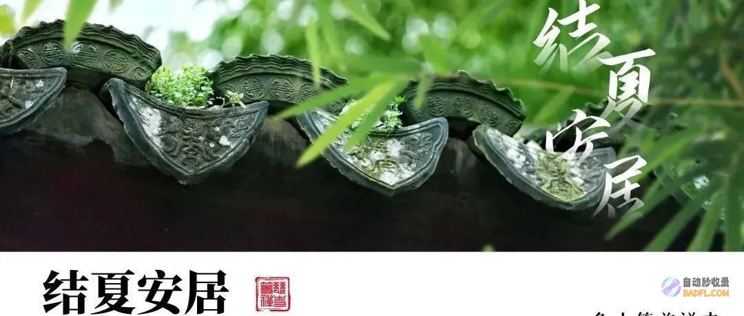 夏淡 三农灵活 2024 绿叶菜保供消费示范上班推动会 区农技核心组织召开