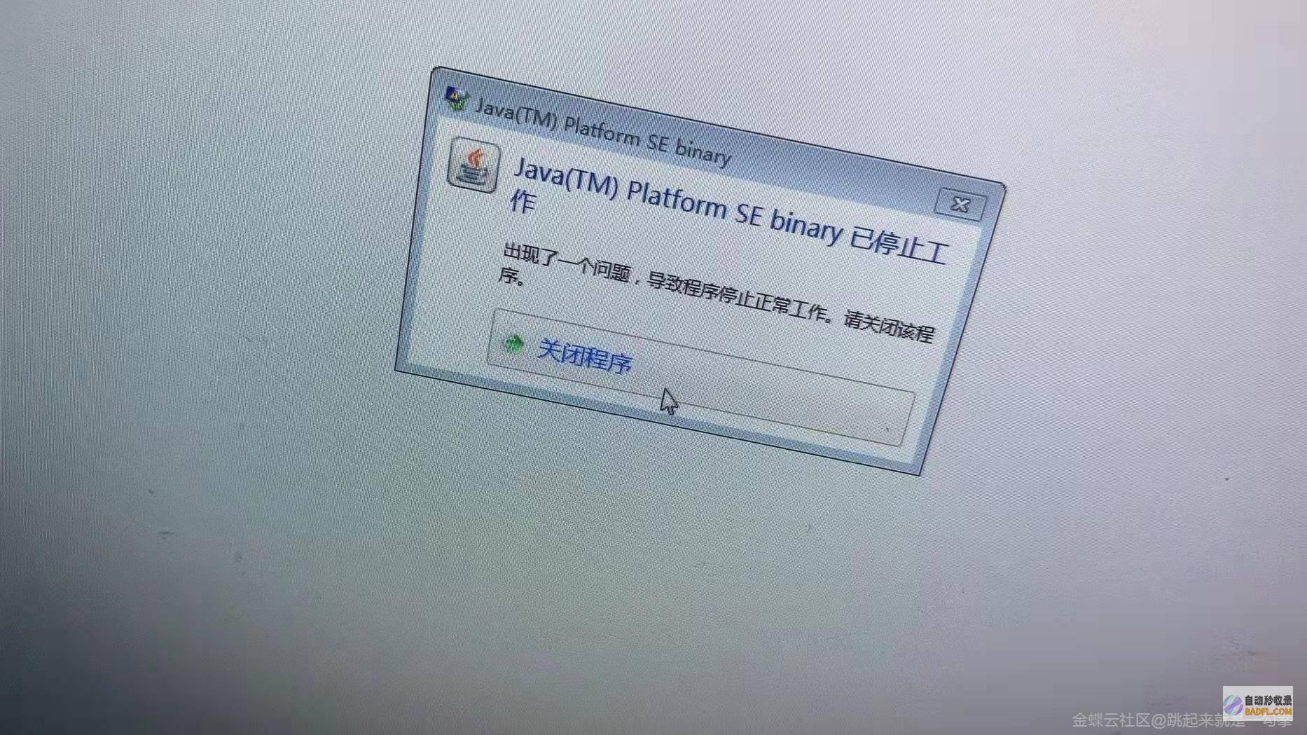 请问哪有SEO视频教程 (请问哪有收流浪狗狗的?)