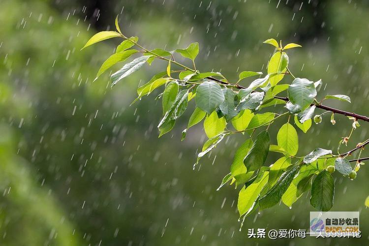 好强降雨中心向上北抬暴雨大暴雨中心已确定