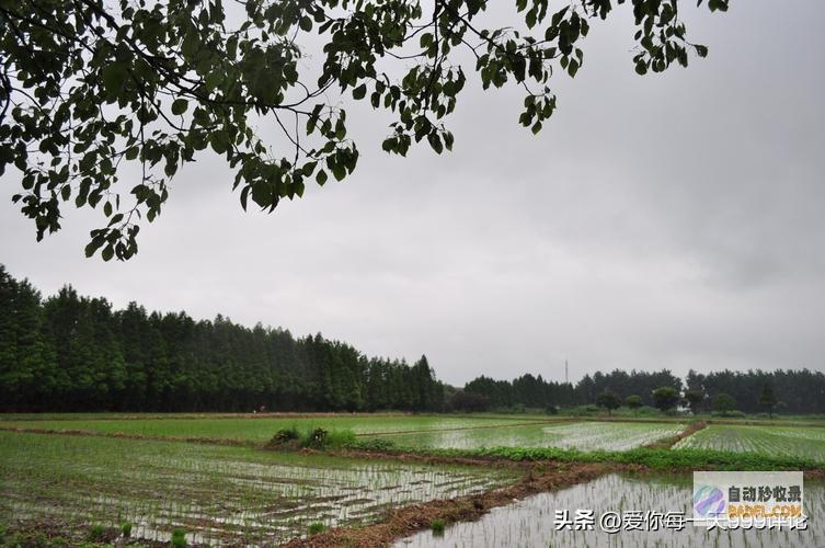 好强降雨中心向上北抬暴雨大暴雨中心已确定