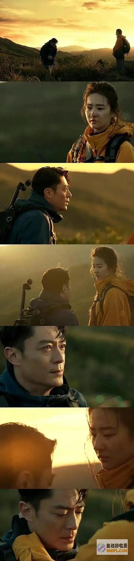 不是情商低是坏李梦回复剧情像狗屎评