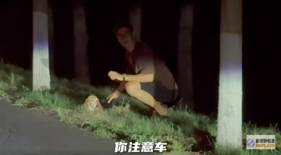 珍珠近况躺在怀中睡觉打呼还不会下楼梯杜