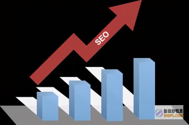 提升网站流量和转化率的 SEO 技术指南 (提升网站流量方法)