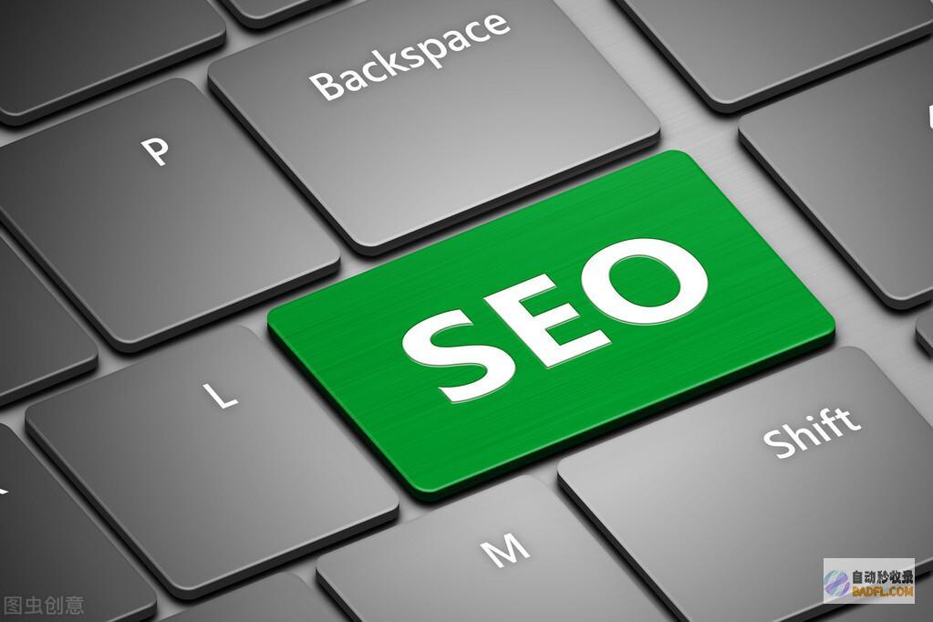 搜索引擎优化(SEO)终极指南：提高在线业务 (搜索引擎优化是什么意思)