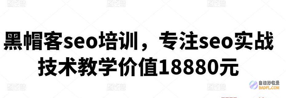 SEO 黑客：揭秘提升网站排名的鲜为人知的技巧和策略 (seo黑客)