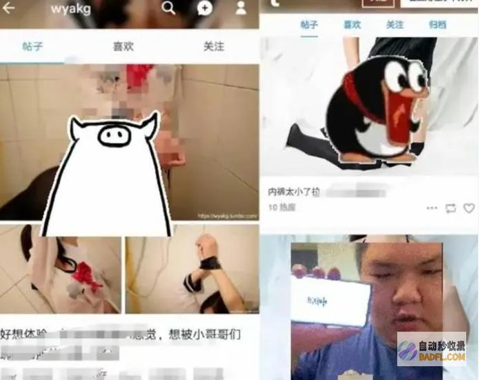 生前不堪入目照片曝光肢解抛尸令人发指女网红被