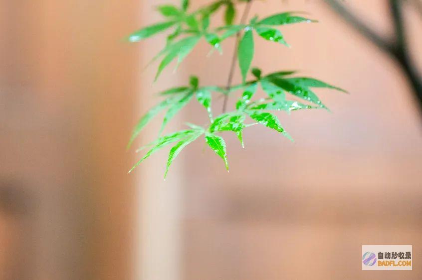 普经过去时有哪些揭示词 (经过的过去式)