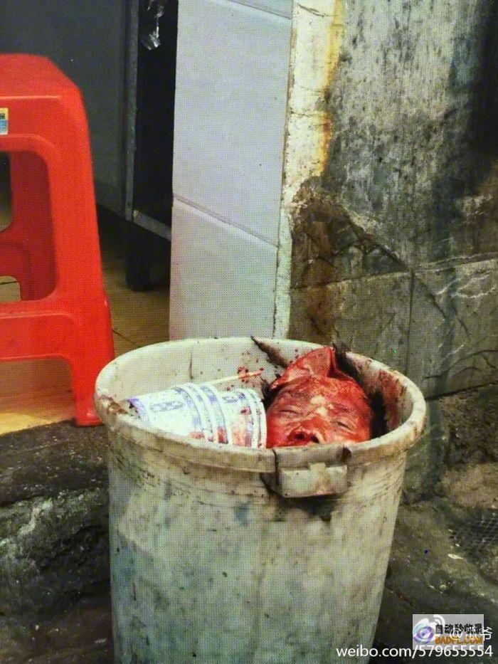 河北一男性被霸凌下跪喝尿 评论区网友炸了 警方 已立案 闹大 (河北一名男子)