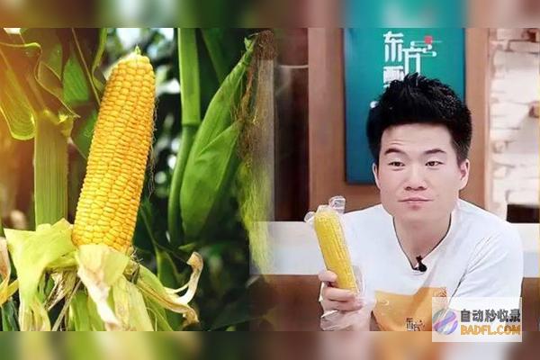 YoYo行发生不当举动评论引热议用董宇辉