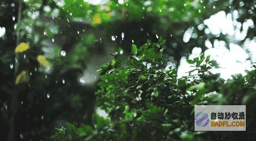强降雨暴雨核心已定今晚到明天6月29号天气预告