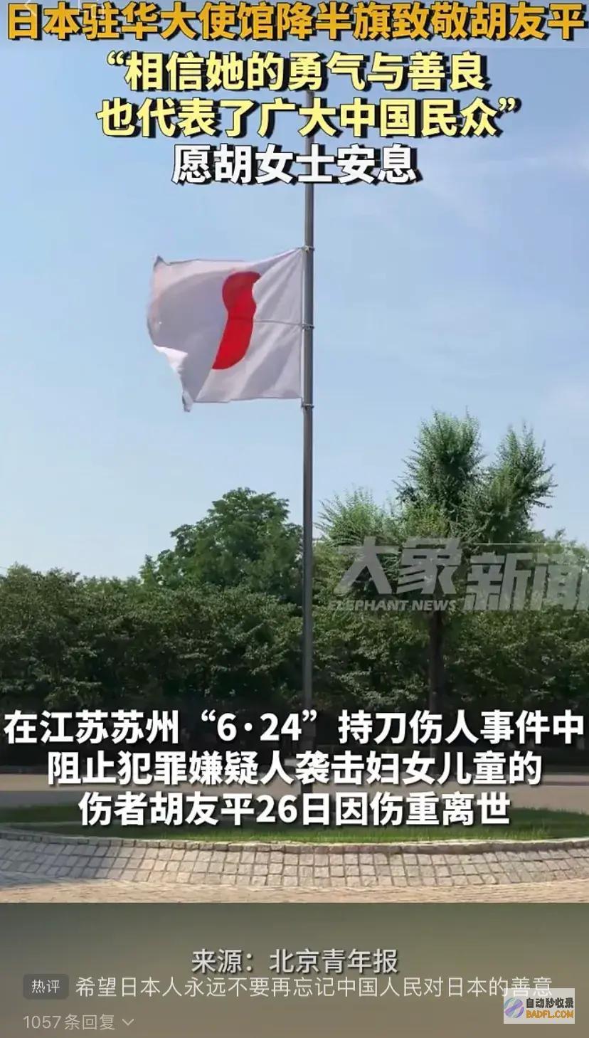 quot致敬胡友平女士她的勇气和好意为人民建