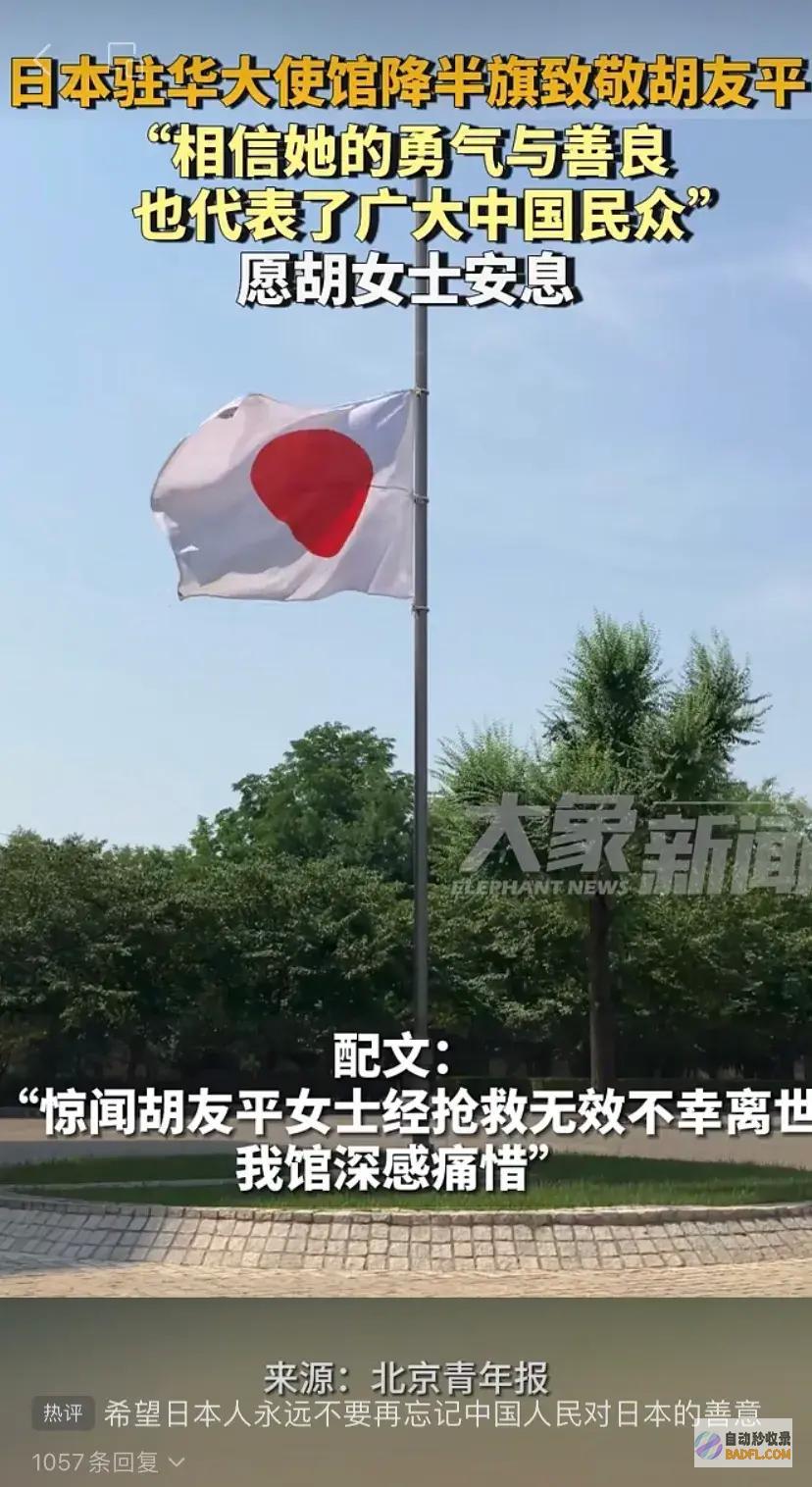 quot致敬胡友平女士她的勇气和好意为人民建