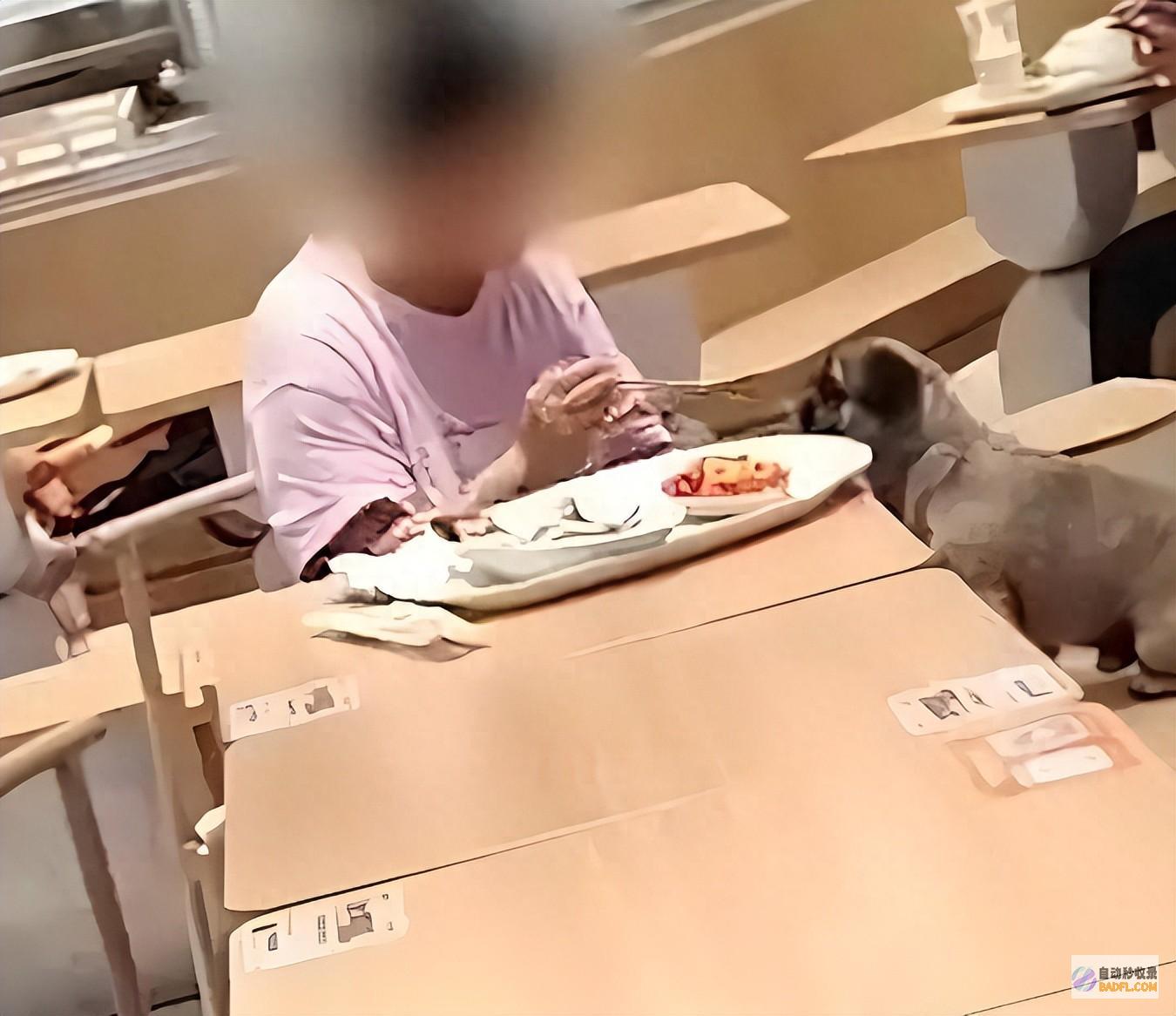 还是卫生红线 宠物友好 事情引热议 人狗共餐 上海餐厅 (卫生线是什么)