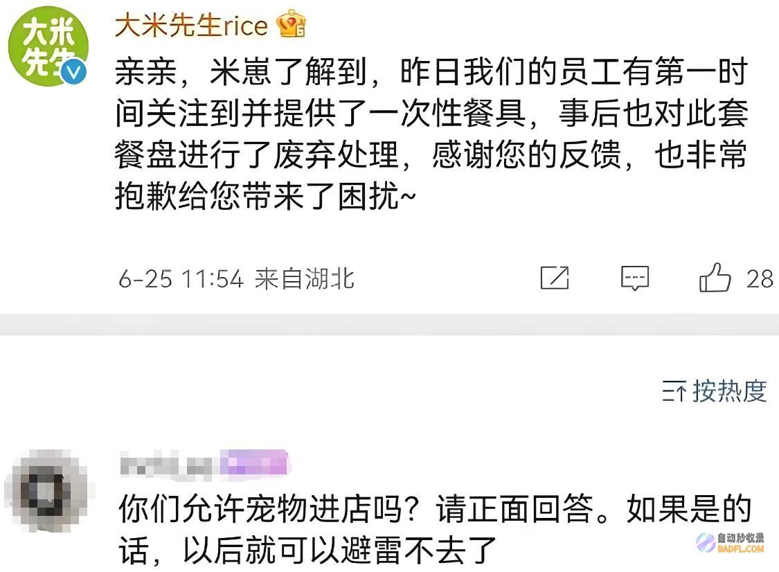 还是卫生红线宠物友好事情引热议人狗共餐上海餐