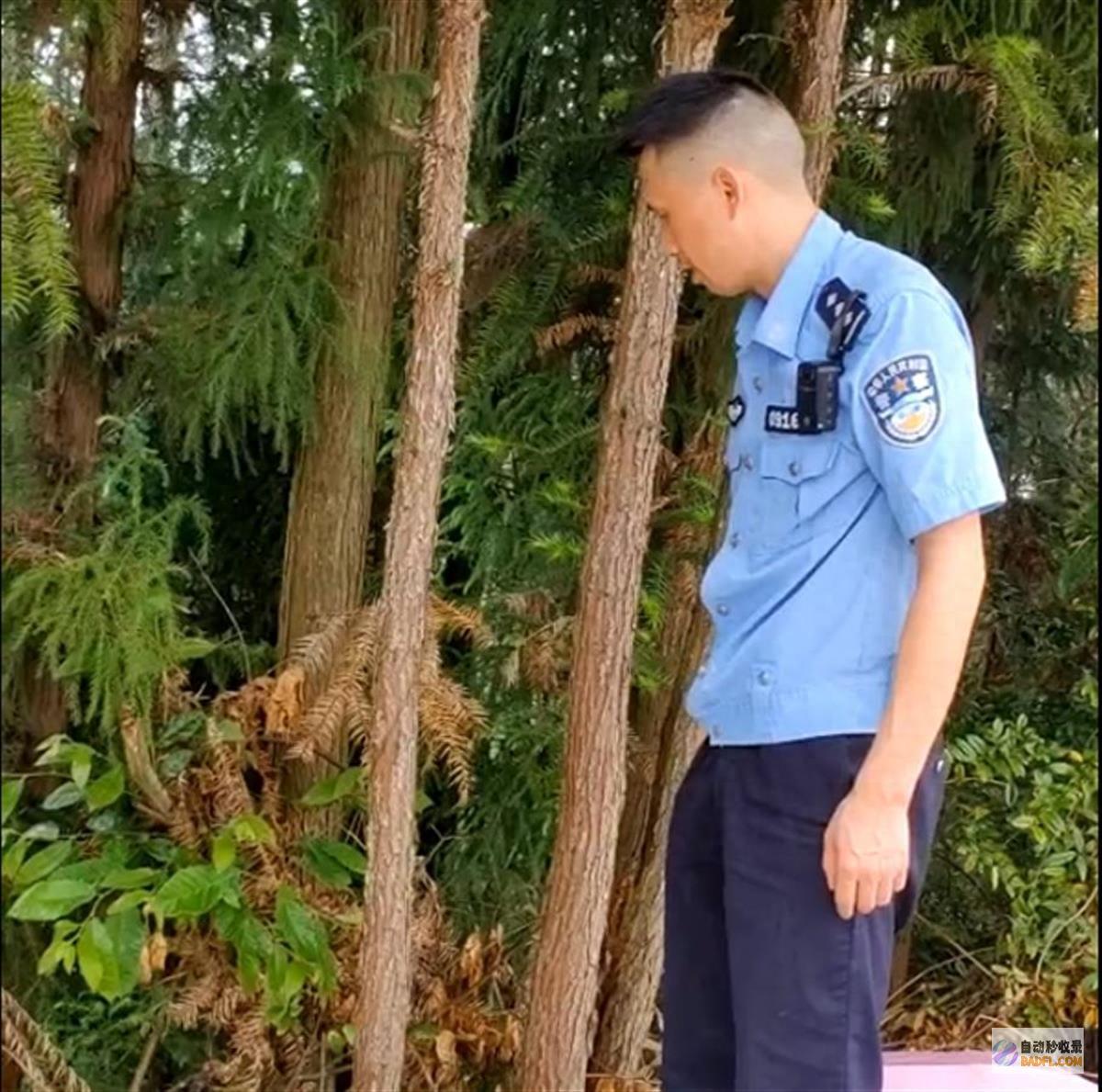 警民携手协助果子狸安保归林 萌宠 居民散步遇见家养 (警民携手同行)