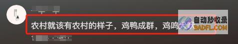 连一只鸡都容不下整治剑走偏锋乡土味莫让乡
