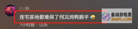 连一只鸡都容不下整治剑走偏锋乡土味莫让乡