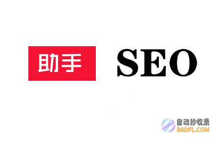 掌握SEO秘密：网站收录的终极指南 (seo秘籍方法教学)