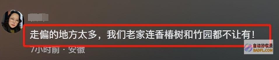 乡土味整治剑走偏锋连一只鸡都容不下莫让乡