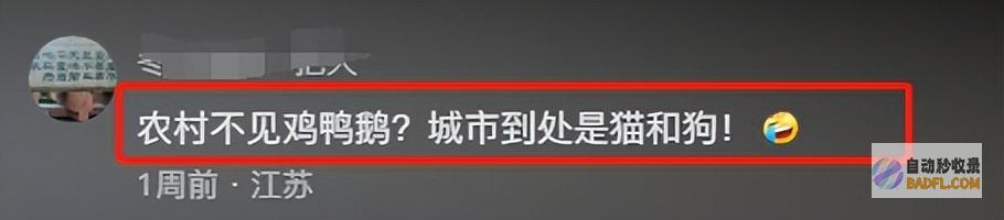 乡土味整治剑走偏锋连一只鸡都容不下莫让乡